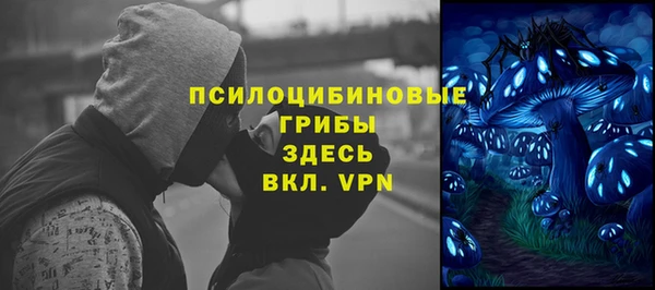 мдпв Бронницы