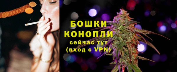 мдпв Бронницы