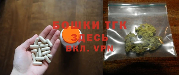 гидра Верхний Тагил