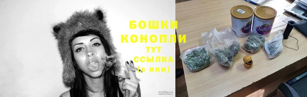 прущая мука Верея