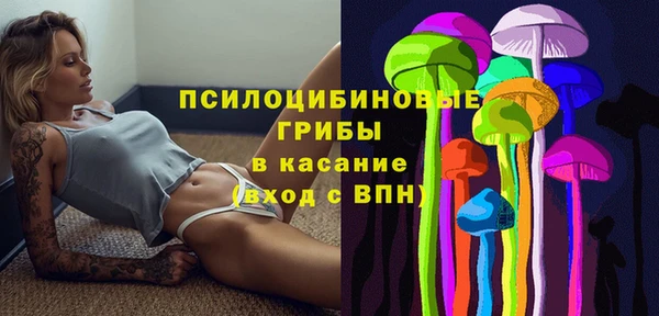 mix Богородск